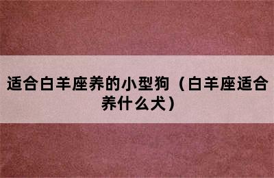 适合白羊座养的小型狗（白羊座适合养什么犬）