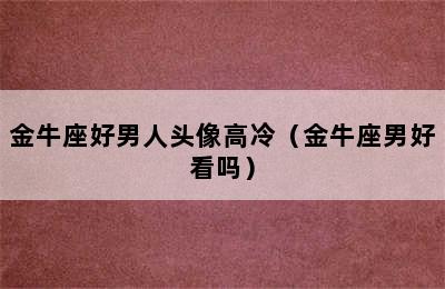 金牛座好男人头像高冷（金牛座男好看吗）