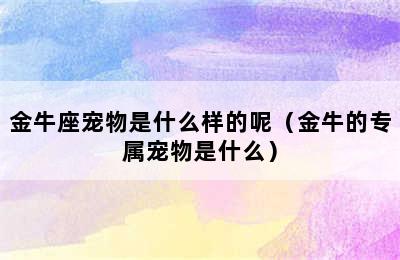 金牛座宠物是什么样的呢（金牛的专属宠物是什么）