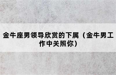 金牛座男领导欣赏的下属（金牛男工作中关照你）