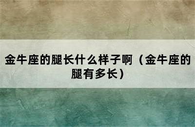 金牛座的腿长什么样子啊（金牛座的腿有多长）