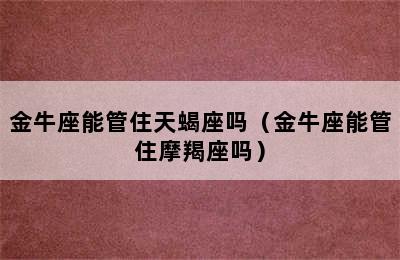 金牛座能管住天蝎座吗（金牛座能管住摩羯座吗）