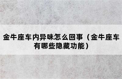 金牛座车内异味怎么回事（金牛座车有哪些隐藏功能）