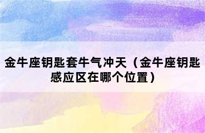 金牛座钥匙套牛气冲天（金牛座钥匙感应区在哪个位置）