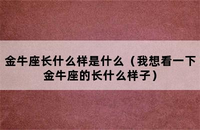 金牛座长什么样是什么（我想看一下金牛座的长什么样子）