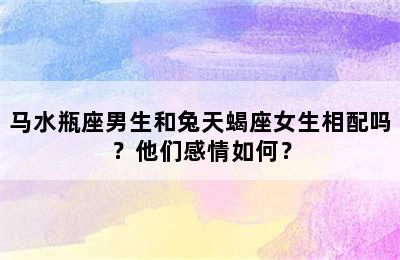 马水瓶座男生和兔天蝎座女生相配吗？他们感情如何？