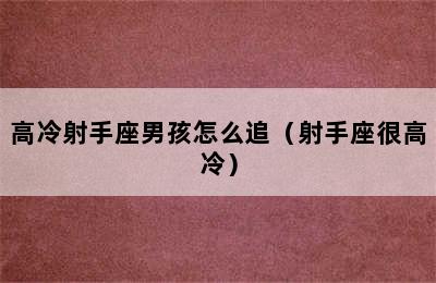 高冷射手座男孩怎么追（射手座很高冷）